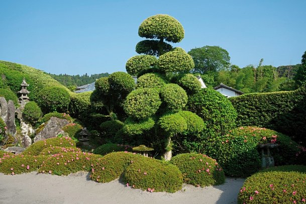 Japan zur Kirschblüte mit Diamond Princess - Chiran, Samurai-Gärten