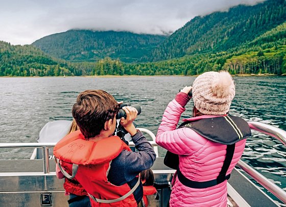 Japan bis Kanada mit Norwegian Jade - Bärenbeobachtung im Pacific Rim Nationalpark
