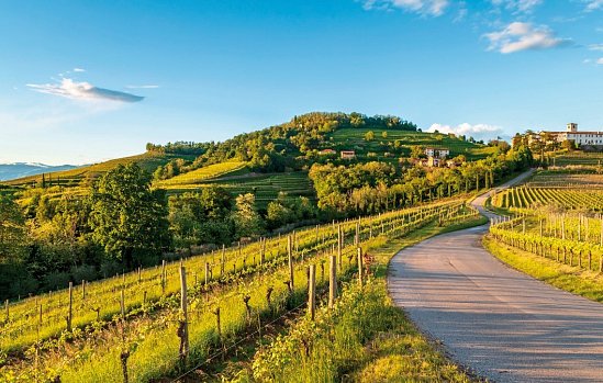 Bus-Weinreise Oberitalien Görz