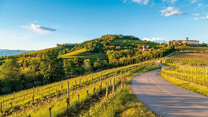 Kulinarik und Kultur in Norditalien - Busreise nach Görz
