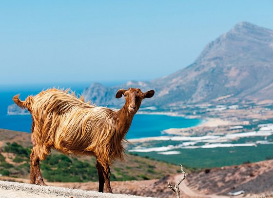 Griechische Inseln ab/bis Venedig mit Costa Deliziosa - Kreta