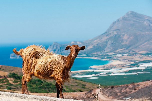 Italien, Griechenland, Zypern, Ägypten & Kroatien mit MSC Lirica - Kreta
