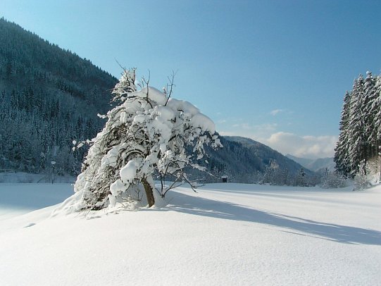 Waldesruh - Garten im Winter - Hotel Waldesruh