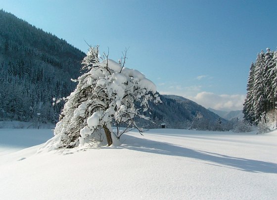 Waldesruh - Garten im Winter - Hotel Waldesruh