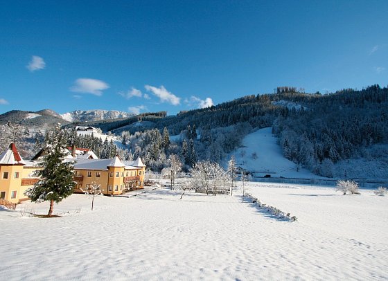 Waldesruh - Hotel Waldesruh im Winter