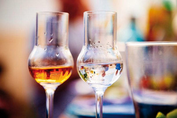 Schlagerparty auf der Donau MS Admiral Tegetthoff