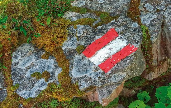 Austropop - Abendschifffahrt mit MS Admiral Tegetthoff