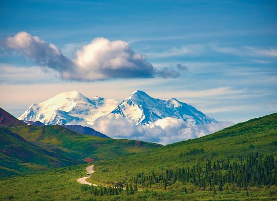Alaska erkunden per Schiff & an Land mit Coral Princess - Denali Nationalpark