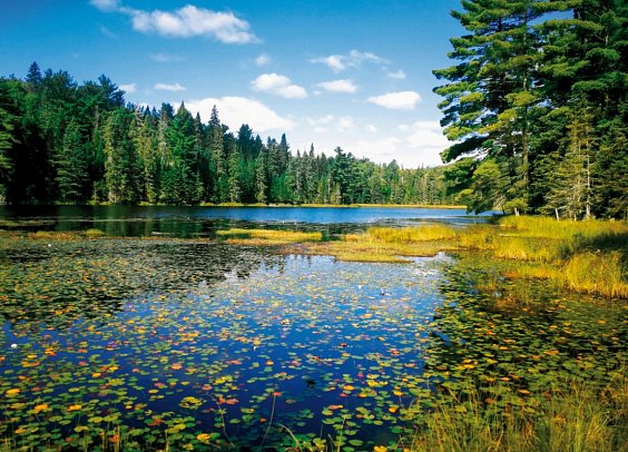 Ostkanada Rundreise – Frühling & Indian Summer - Algonquin Provincial Park