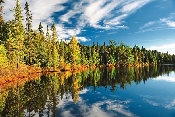 Ostkanada Rundreise – Frühling & Indian Summer - Algonquin Provincial Park