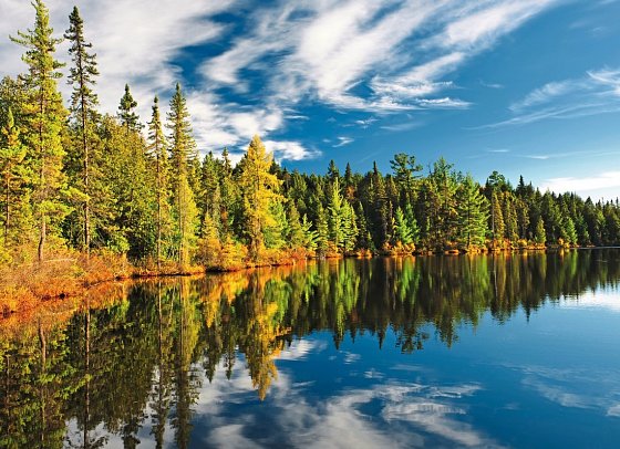 Rundreise Ostkanada - Algonquin Provincial Park